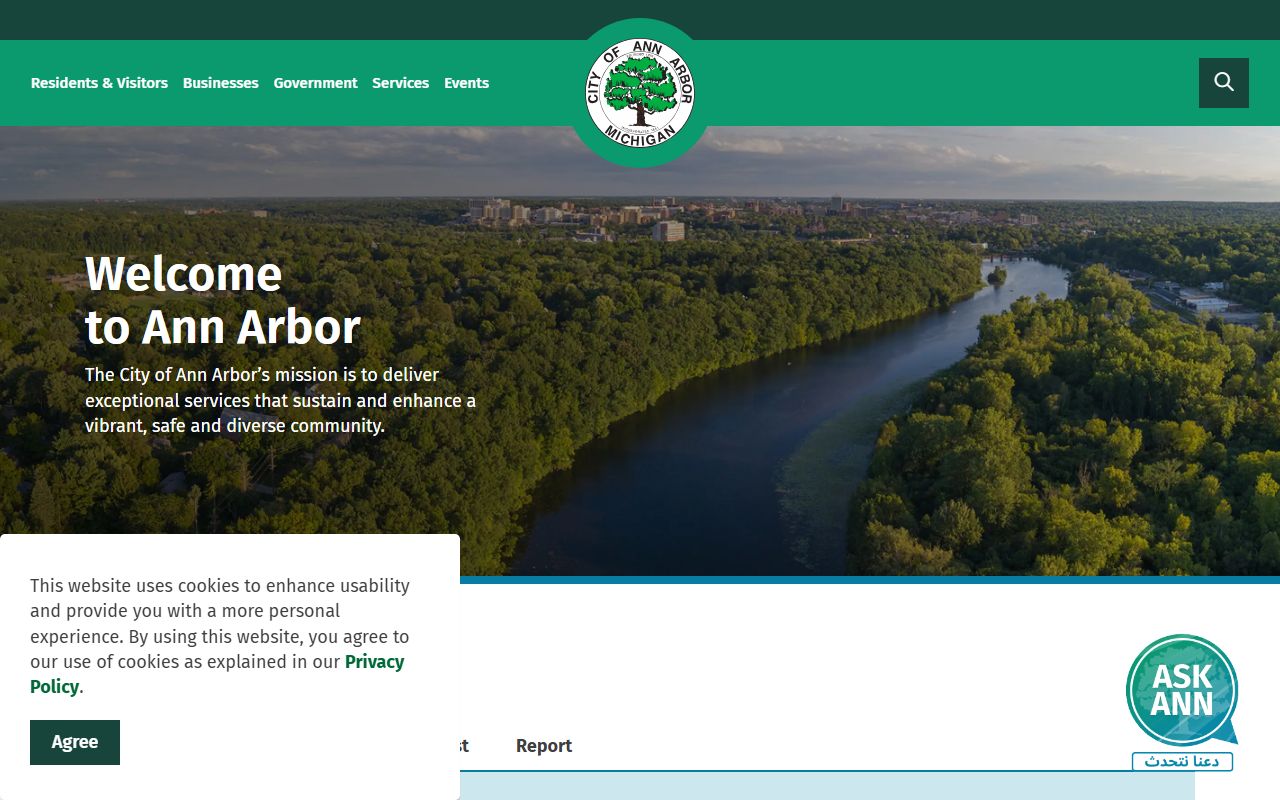 City of Ann Arbor resources for felony records