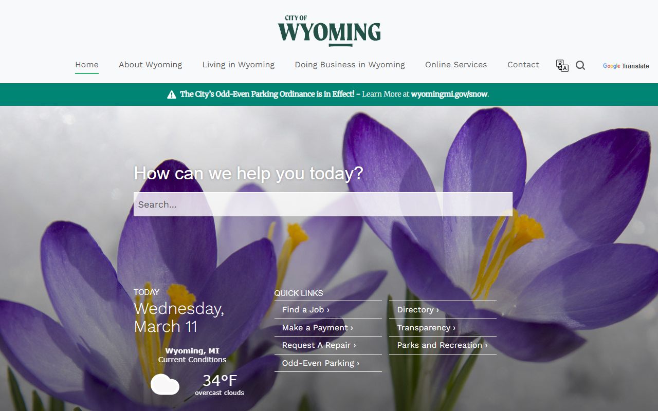 City of Wyoming website with felony records and criminal case resources for Wyoming Michigan